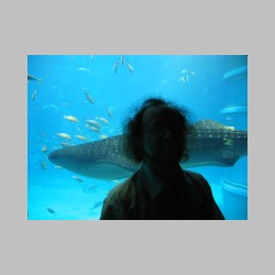 23 szkoda, ze nie w naturze.html